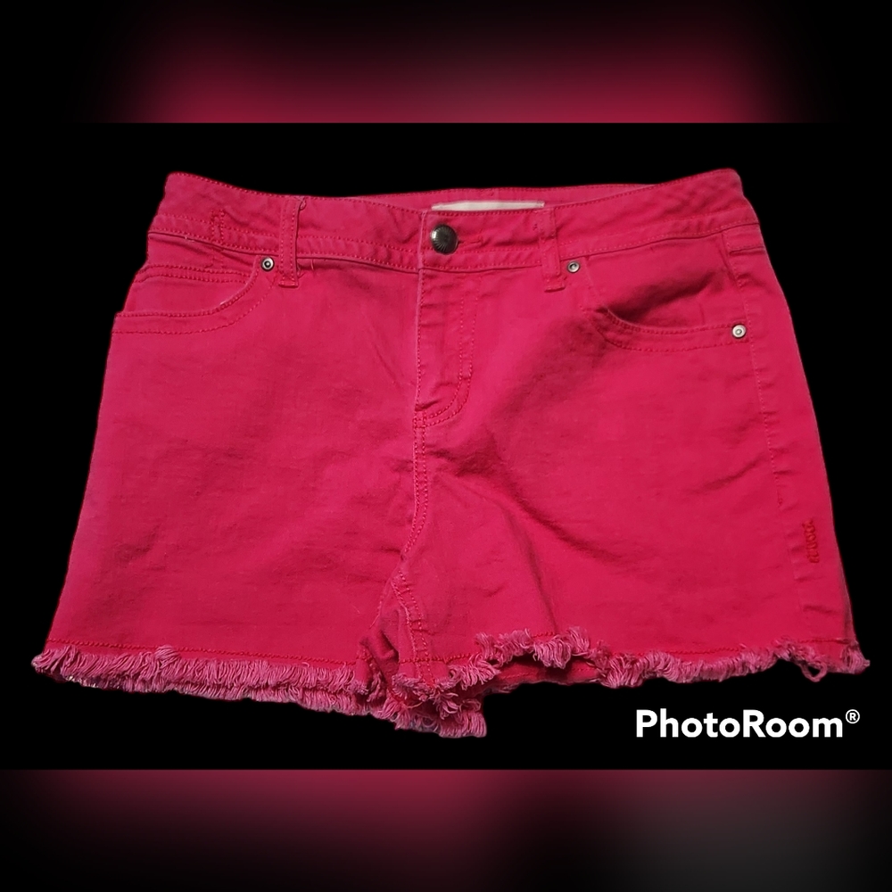 Retro Pink Fashion Bug Fringed Shorts, sz 10